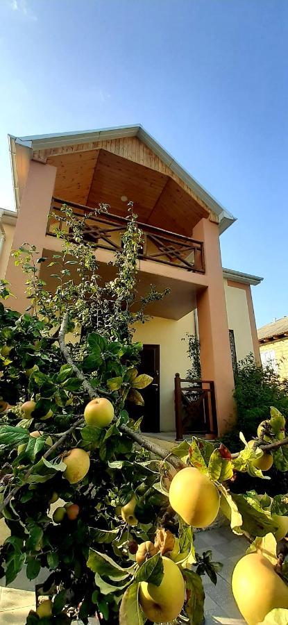 Gabala Sweet Home Exteriér fotografie