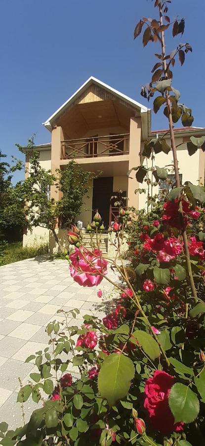 Gabala Sweet Home Exteriér fotografie
